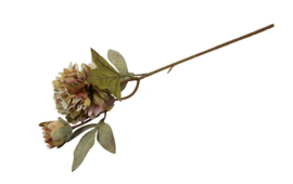 Real Touch  Kunstbloem Paeonia Viola grijs 66 cm 