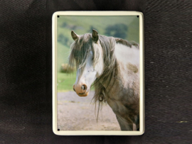 Schimmel  Vintage Muurbordje metaal