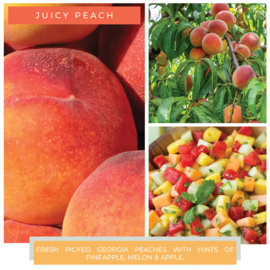 Juicy Peach geurkaars Cheerful Candle Papa Collectie 155 branduren