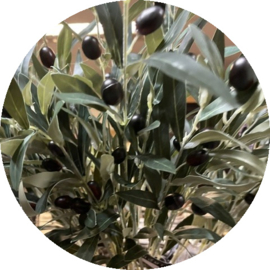 Kunsttak Olijf – RealTouch Groen (75 cm)