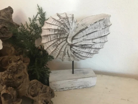 Houten Schelp op standaard whith wash - 23 X 18 cm