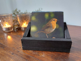 Onderzetter Roodborstje Dibond 10x10 cm