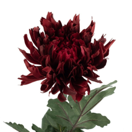 Kunstbloem Chrysant Burgundy Rood (79 cm)