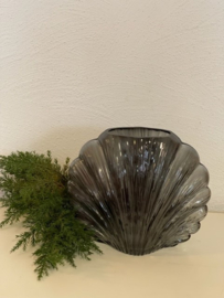 🐚 Glazen Vaas Schelp – Antraciet (20 x 10 x 17 cm