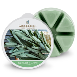 Sage Leaf & Citrus  Goose Creek Wax  Melt