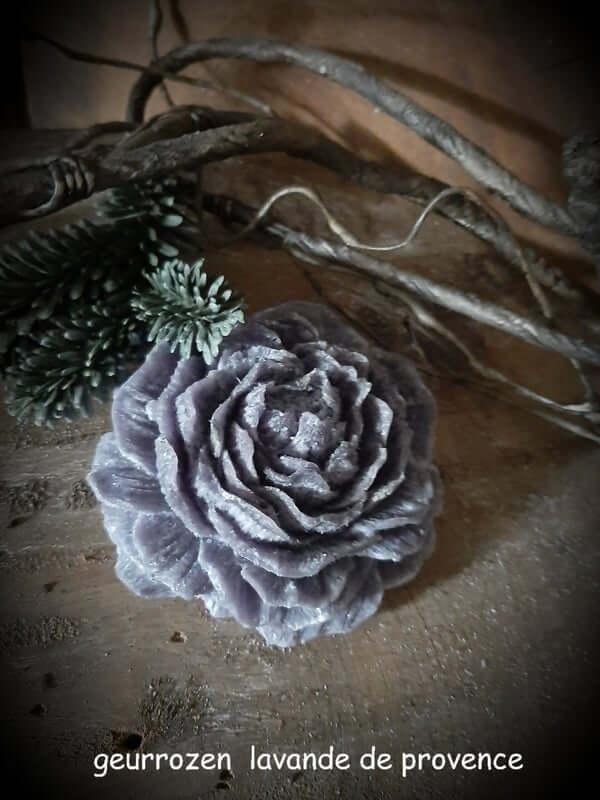 Lavender amberblokjes roos 9 cm