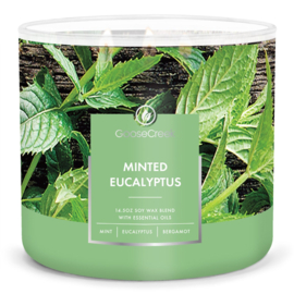 Minted Eucalyptus Goose Creek Candle® 411 gram