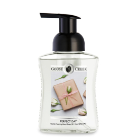 Perfect Day Gentle Foaming Hand Soap