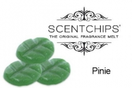 Scentchips® Pine