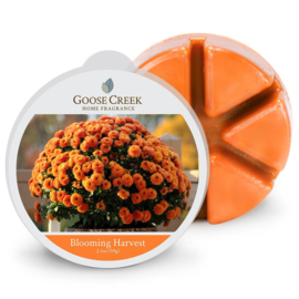 Blooming Harvest Goose Creek Candle 1 Wax Melt blokje