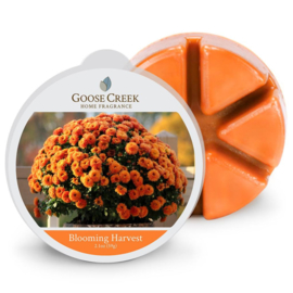 Blooming Harvest Goose Creek Candle Wax Melt