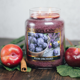 Plum Orchard Geurkaars Cheerful  2 wick 680 gr