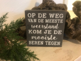 Tekstblok Op de weg van de meeste weerstand  kom je de mooiste....