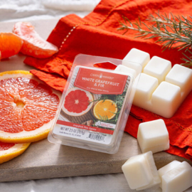 White Grapefruit & Fir  Candle Warmers® Wax Melt-70 gram