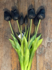 Tulpen Real Toch Classic Black 7 stelen 43cm