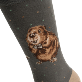 Bamboe heren sokken ‘The Arborist’ bever – Wrendale Designs