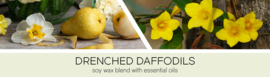 Drenched Daffodils Goose Creek Candle® 411 gram