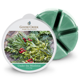 Under the Mistletoe Goose Creek Candle 1 Wax Melt blokje