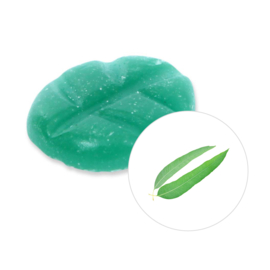 Scentchips® Eucalyptus