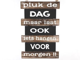 Houten tekstbord  Pluk de dag (37x25 cm)