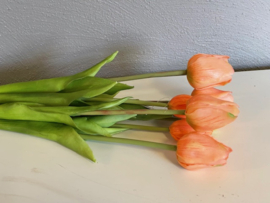Tulpen Real Toch Soft Peach 7 stelen 43cm