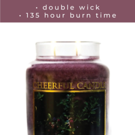 Branches & Berries geurkaars Cheerful Candle 2 lonten 680 gram