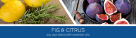 Fig & Citrus geurkaars Goose Creek Candle Aromatherapie 3 lonten 411 gram