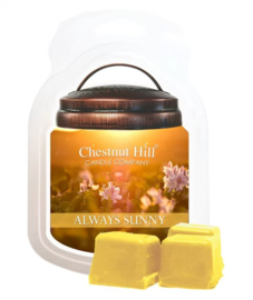 Chestnut Hill Waxmelts 99 Gram