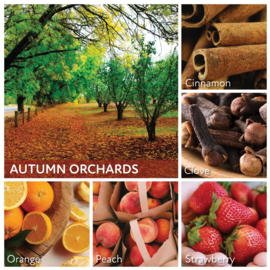 Autumn Orchards  geurkaars Cheerful Candle 2 lonten 680 gram