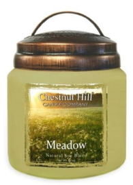  Meadow  Chestnut Hill 2 wick Candle 450 Gr