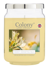 Sweet Honeysuckle Colony Large Jar Candle  100 branduren