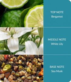 Ocean Sapphire  Heart & Home® Ellipse geurkaars 220 g