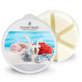 White Coral Goose Creek  Candle  1 Waxmelt blokje