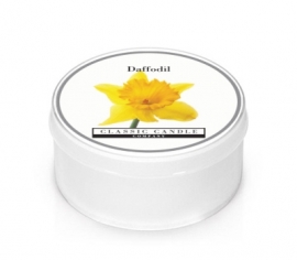 Daffodil Classic Candle MiniLight