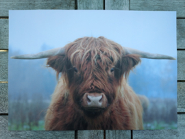 Placemat  Schotse Hooglander  gelamineerd 42x30 cm