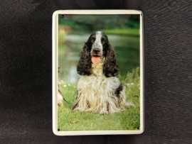 Engelse Cocker Spaniel  Vintage Muurbordje