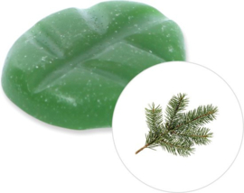 Scentchips® Pine