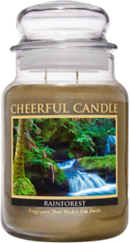 Rainforest Geurkaars Cheerful  2 wick 680 gr