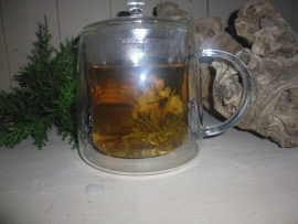 Theepot glas