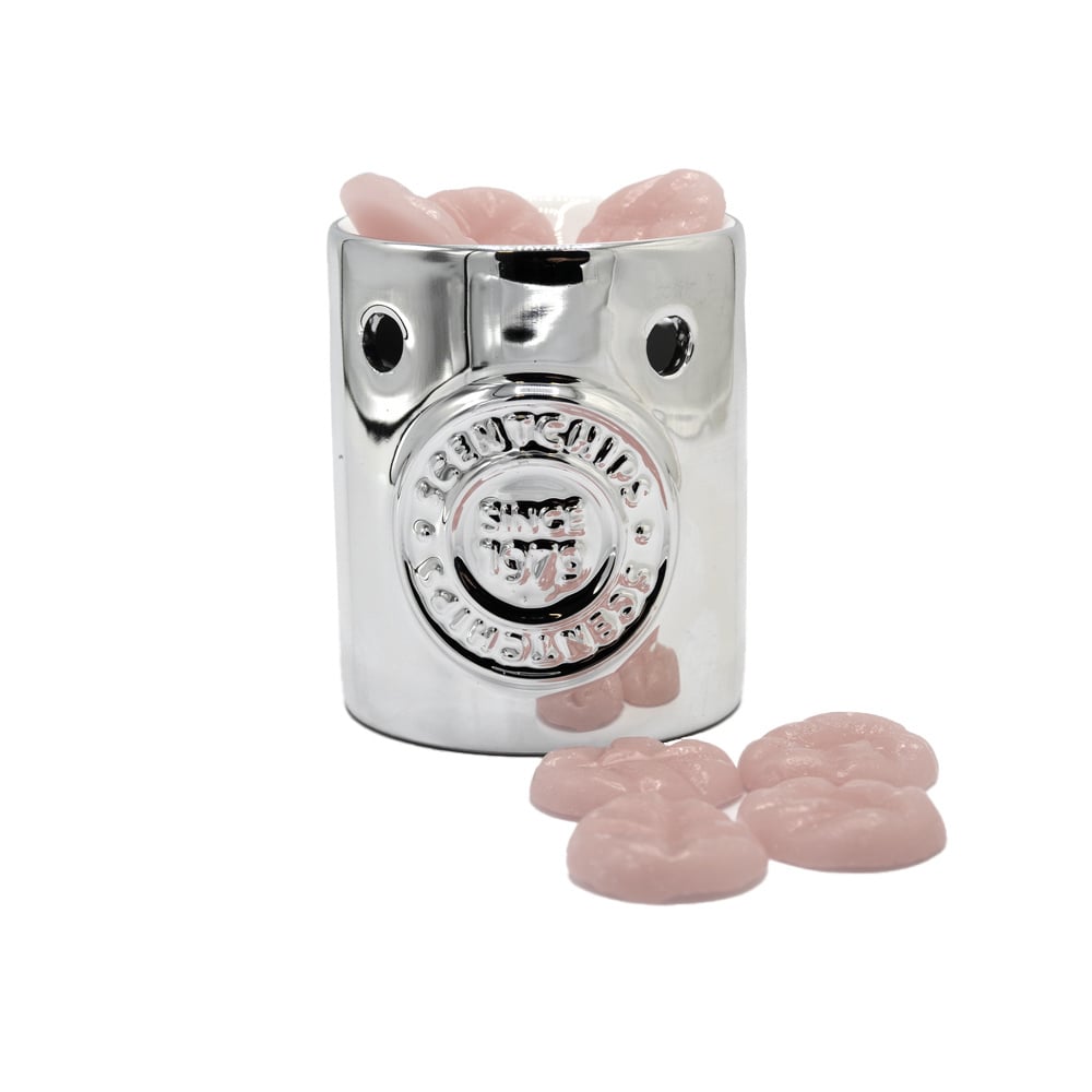 Belle Vie Cadeauset Scentchips® met Logo Brander Zilver – 10 Scentchips