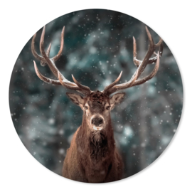 Muurcirkel Deer Snow Materiaal Forex 30 cm