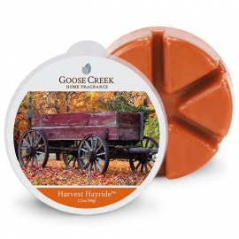 Harvest Hayride   Goose Greek Waxmelt