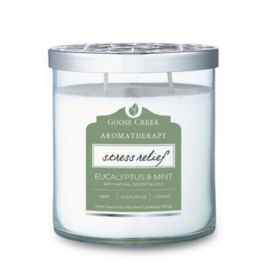 Eucalyptus & Mint  Goose Creek Candle® Aromatherapie 2 wick 453 gram