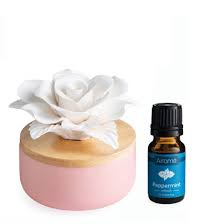 Airomé White Flower, porseleinen passieve etherische olie diffuser (met 15 ml pepermunt etherische olie)