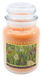Country Wildflowers Geurkaars Cheerful 2 wick 680 gr