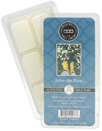 After the Rain  Bridgewater Candle Company Waxmelt