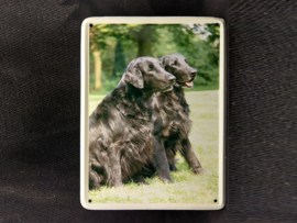 Flat Coated Retriever  Vintage Muurbordje