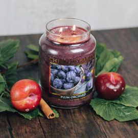 Plum Orchard Geurkaars Cheerful  2 wick 680 gr