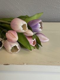 Tulpen Real Toch Soft Pink 7 stelen 43cm