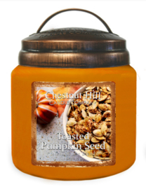 Toasted  Pumpkin Seed Chestnut Hill  2 wick Candle 450 Gr